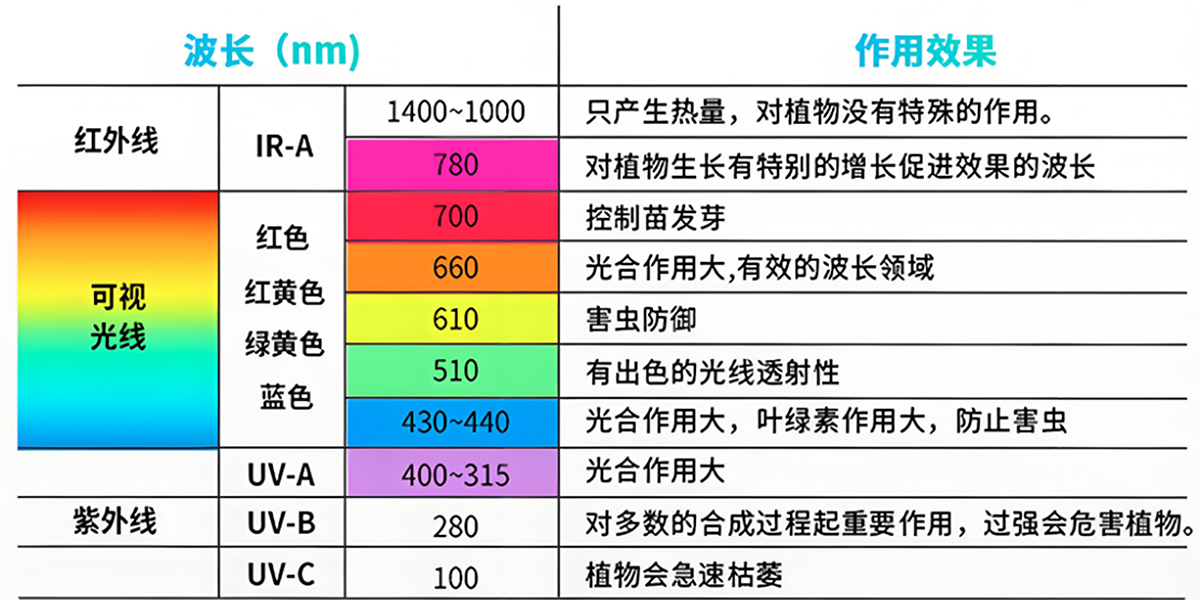 光和植物光合作用-1200W